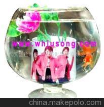 【烤杯渗透机生产 个性化产品(图)】价格,厂家,图片,,武汉巨松难寻工艺摄影器材-